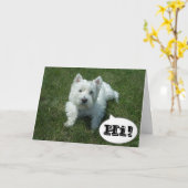 Westie in the Grass Photo Greeting Card カード (黄色い花)