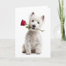 Westie Valentine カード