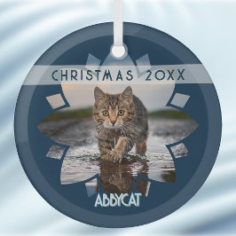 Wet Cat Photo Framed in Flower on Blue ガラスオーナメント