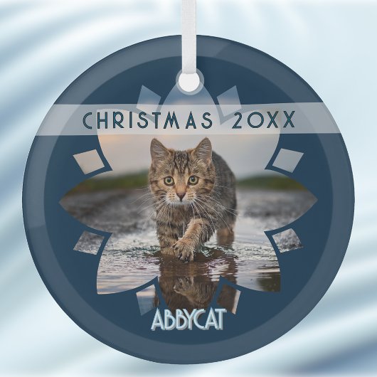 Wet Cat Photo Framed in Flower on Blue ガラスオーナメント