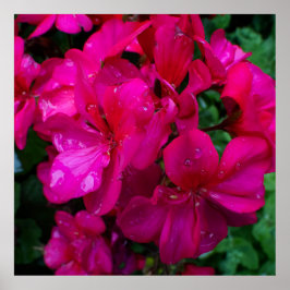 Wet Floral ポスター