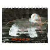 Wetdryvac.Net 2013年 カレンダー (カバー)