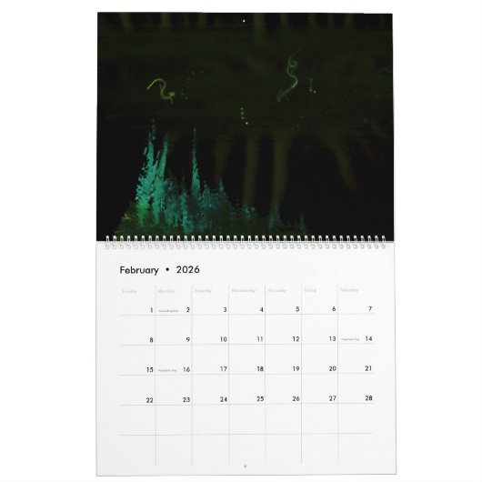 Wetdryvac Net 2016ランドスケープカレンダー カレンダー (2月 2026)