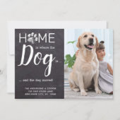 Weve Move 素朴 New Address Pet Photo Dog Moving 案内状 (正面)