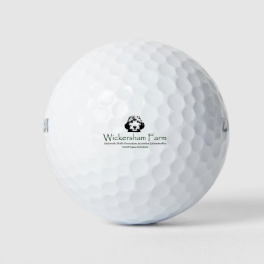 WFブランド製品 ゴルフボール (正面)