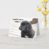 whaのchuはか。言います!か。 カード (黄色い花)