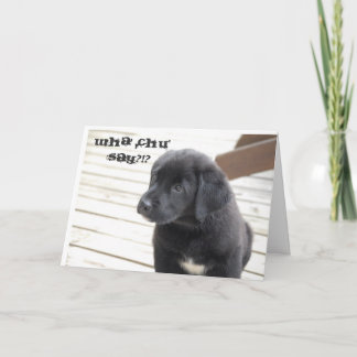 whaのchuはか。言います!か。 カード