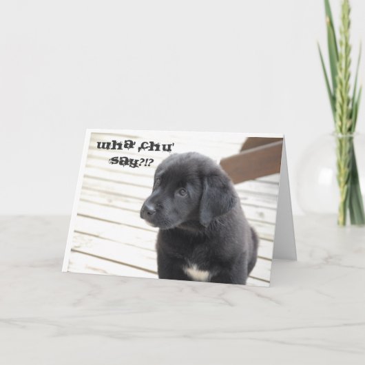 whaのchuはか。言います!か。 カード (正面)