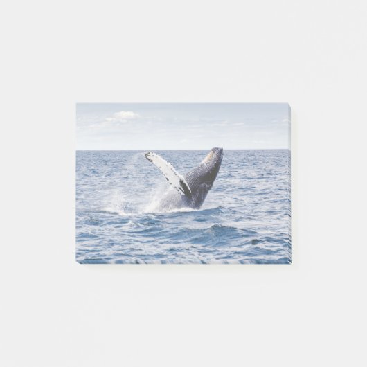 Whale ポストイット (正面)