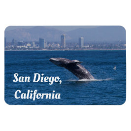 Whale of a Time San Diego(カリフォルニア州) マグネット