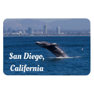 Whale of a Time San Diego(カリフォルニア州) マグネット