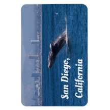 Whale of a Time San Diego（カリフォルニア州）