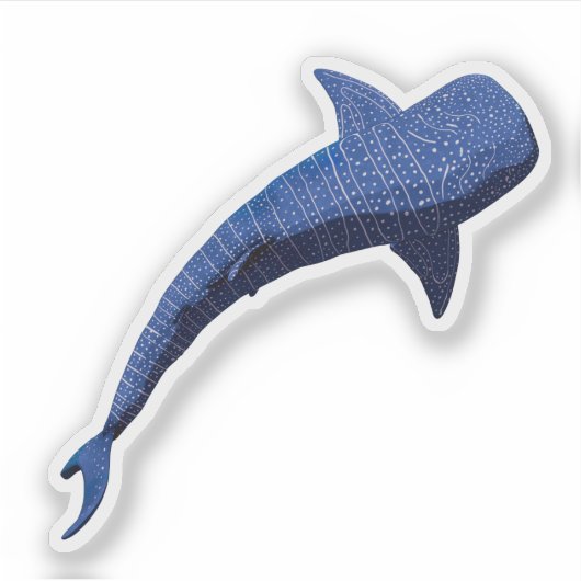 Whale Shark Comic Render シール (正面)