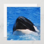 Whale Sounds招待状 招待状 (正面/裏面)