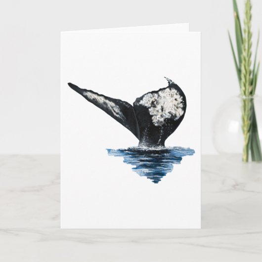 Whale Tail カード (正面)
