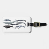 Whales and right whales ラゲッジタグ (正面横)