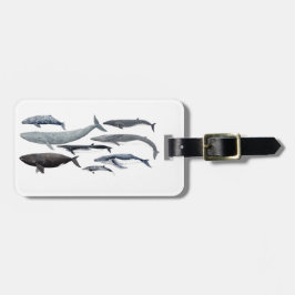 Whales and right whales ラゲッジタグ