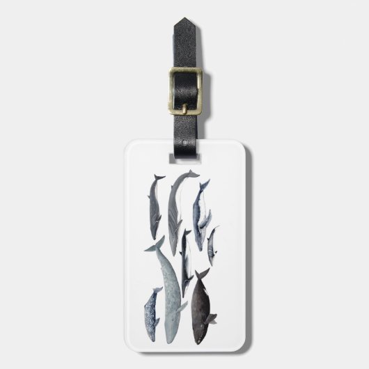 Whales and right whales ラゲッジタグ (正面縦)