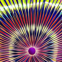 Wham-O Ultimate UPA承認175g Frisbee 飛んでいる D