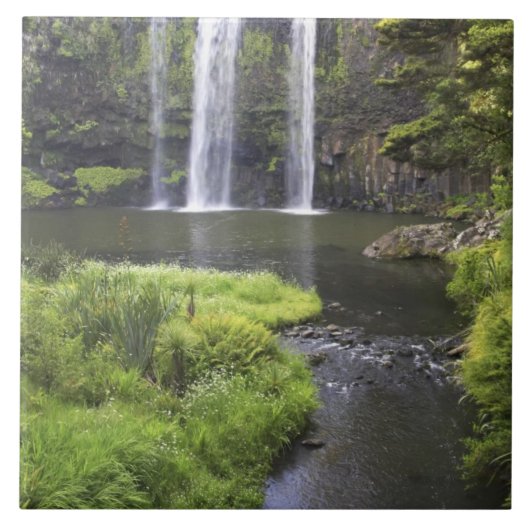 Whangarei秋、Whangarei、ノースランド、新規2 タイル (正面)