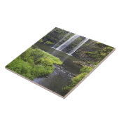 Whangarei秋、Whangarei、ノースランド、新規2 タイル (側面)