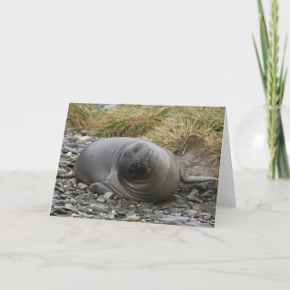 Whassupか。 カード