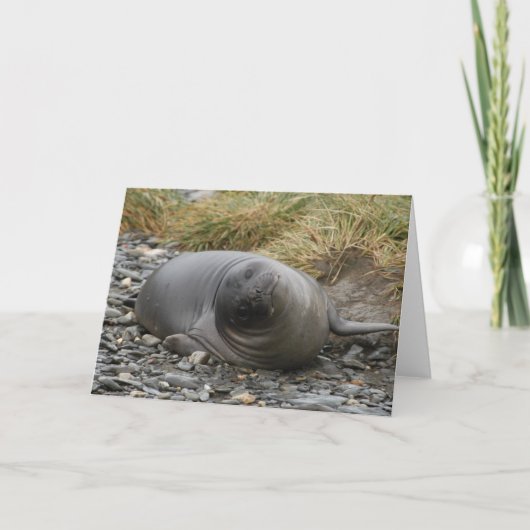 Whassupか。 カード (正面)