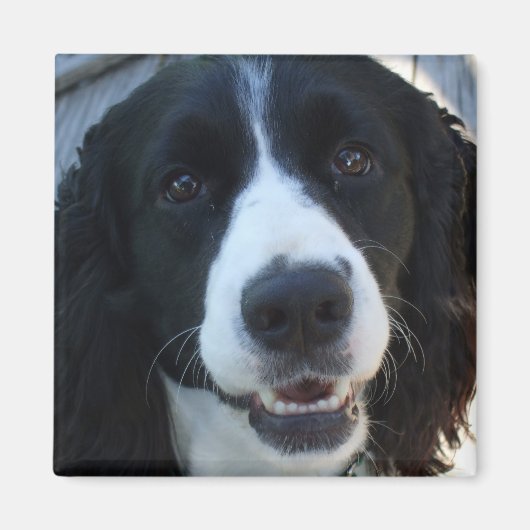 What a顔磁石 マグネット (正面)