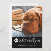 What A Ruff Year写真クリスマスカード 招待状 (正面)