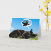 What cats dream about! Card カード (黄色い花)