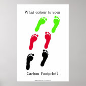 What colour is your carbon footprint? ポスター (正面)