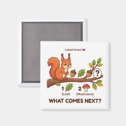 What Comes Next? Red Squirrel UK Pattern Logic  マグネット (正面/裏面)
