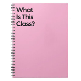What Is This Class Notebook ノートブック