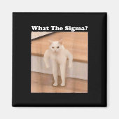 What Sigmaミーム猫ミームインターネットミームおもしろいミーム マグネット (正面)