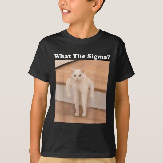 What Sigmaミーム猫ミームインターネットミームおもしろいミーム Tシャツ (正面)