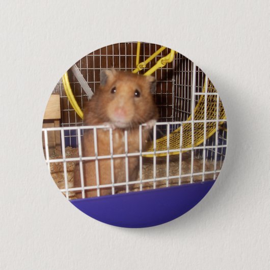 whatcaのlookinの 缶バッジ (正面)