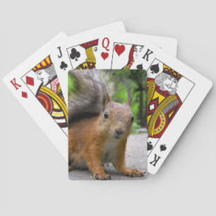 Whatchaは得ましたか。 トランプ