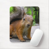 Whatchaは得ましたか。 マウスパッド (マウス)