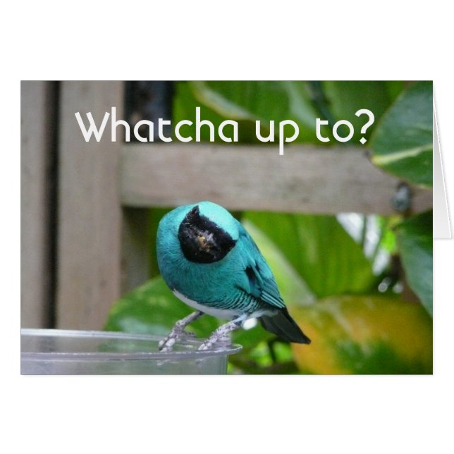 Whatchaまでか。 (正面横)