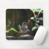 Whatcha Doin マウスパッド (マウス)