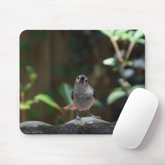 Whatcha Doin マウスパッド (マウス)