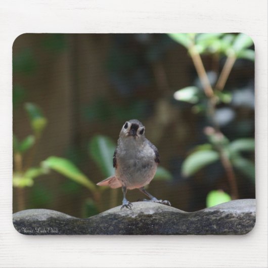 Whatcha Doin マウスパッド (正面)