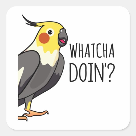 Whatcha Doin Parrotがあなたを見ている スクエアシール (正面)