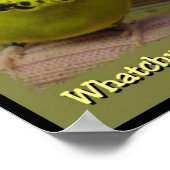 Whatchu最大3 ポスター (角)