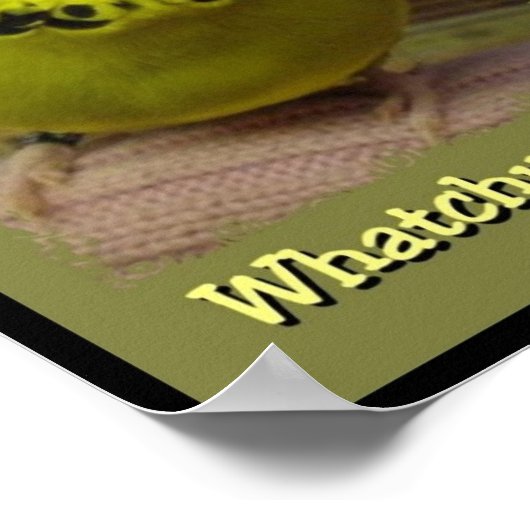 Whatchu最大3 ポスター (角)