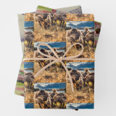 Whatcom郡アウトドアセット ラッピングペーパーシート (インサイチュ)