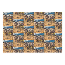 Whatcom郡アウトドアセット