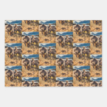 Whatcom郡アウトドアセット