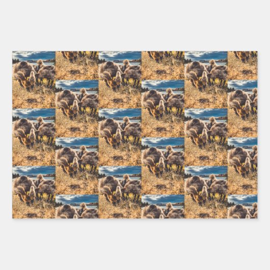 Whatcom郡アウトドアセット ラッピングペーパーシート (正面)