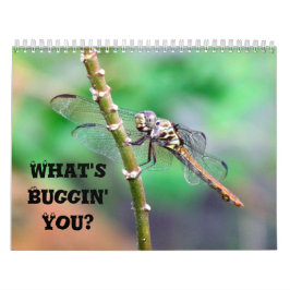 What's Buggin' You - Incent Calendar Edition 2 カレンダー